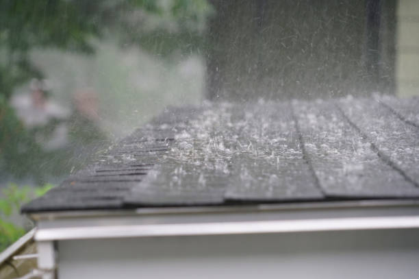 Best Gutter Installation and Repair  in Waverly, VA