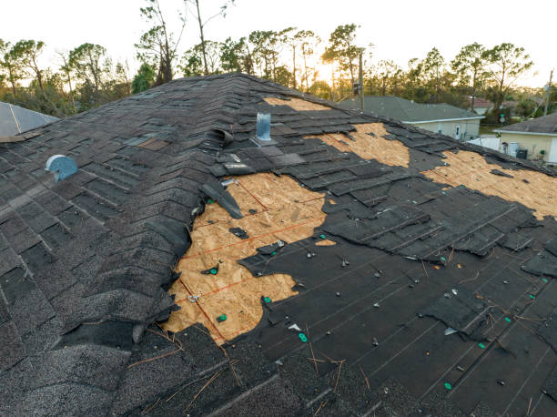Best Metal Roofing Installation  in Waverly, VA