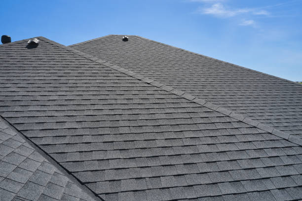 Best Skylight Installation and Repair  in Waverly, VA