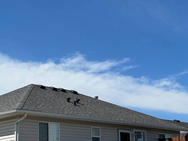 Best Green or Eco-Friendly Roofing Solutions  in Waverly, VA